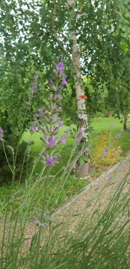 Green Garden Lohovo Bihać 外观 照片