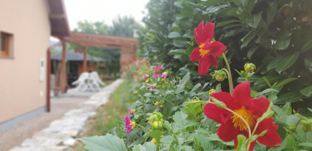 Green Garden Lohovo Bihać 外观 照片